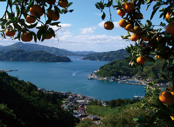 宇和海（リアス式海岸）